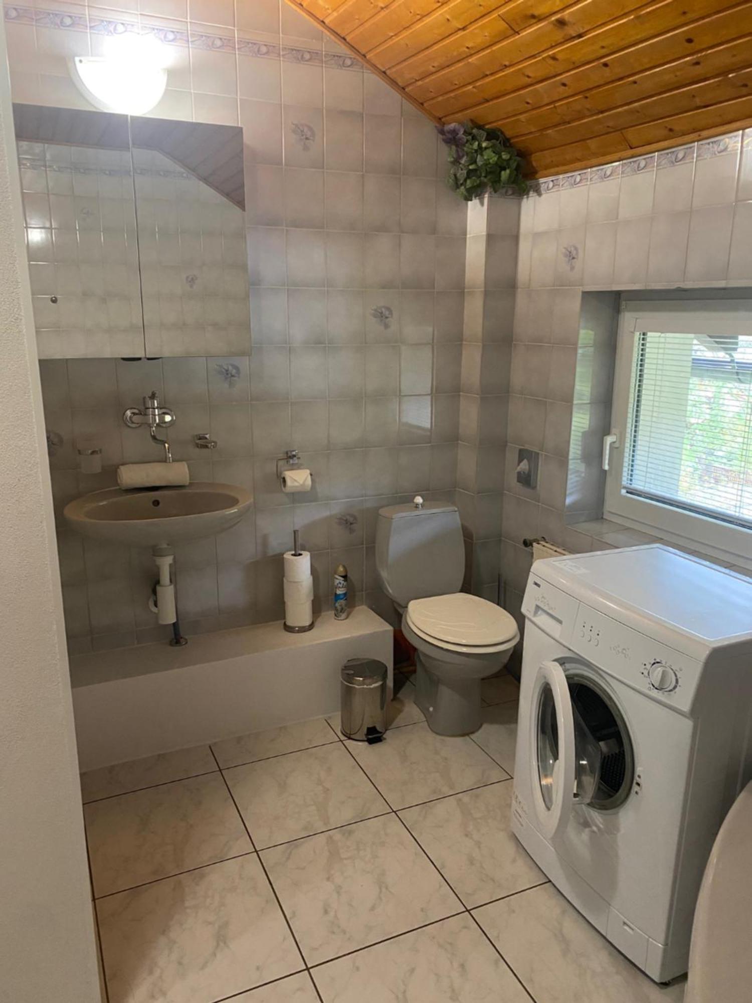 Apartmany Nad Rybnikem Zelezna Ruda Luaran gambar