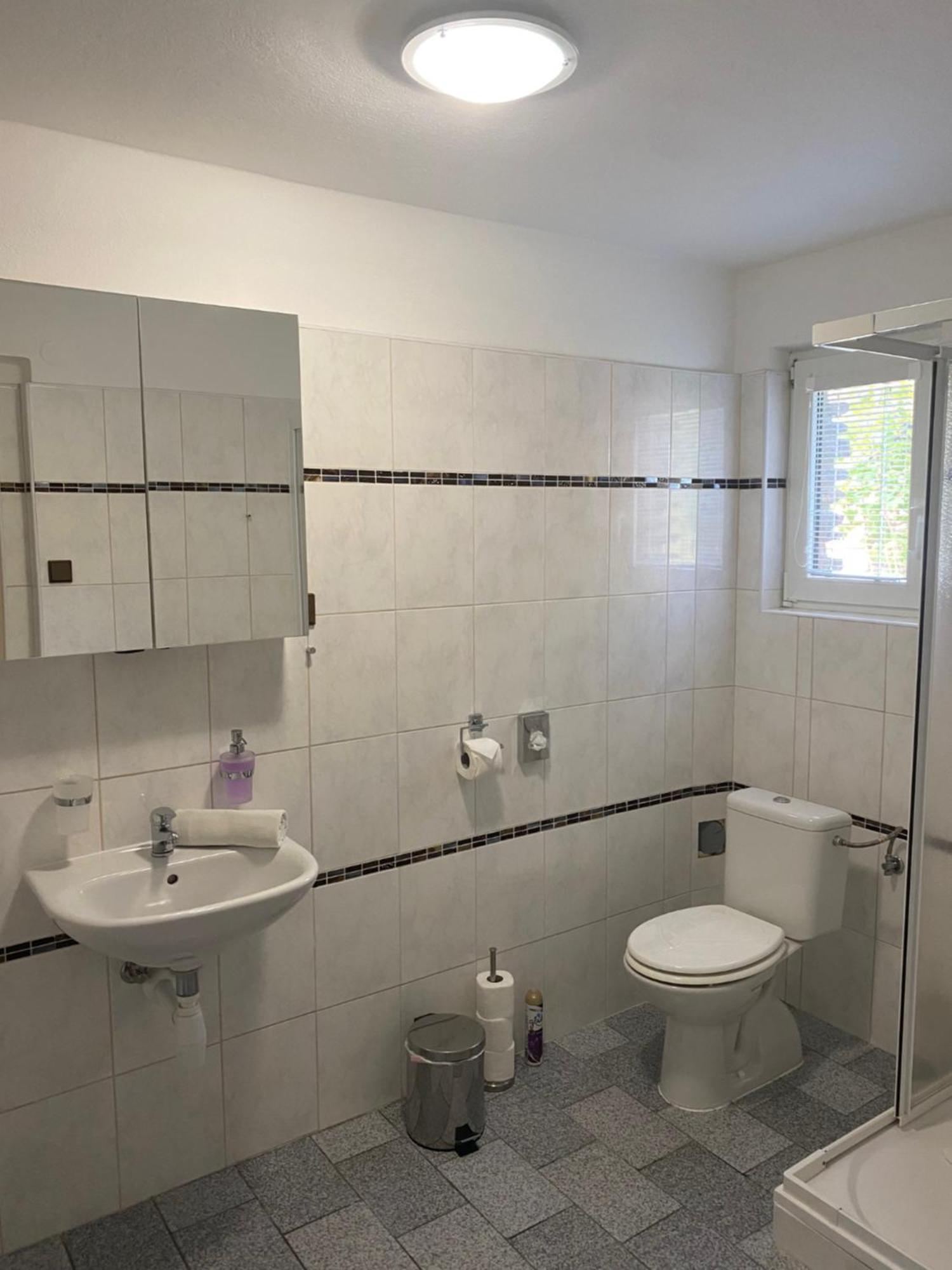 Apartmany Nad Rybnikem Zelezna Ruda Luaran gambar